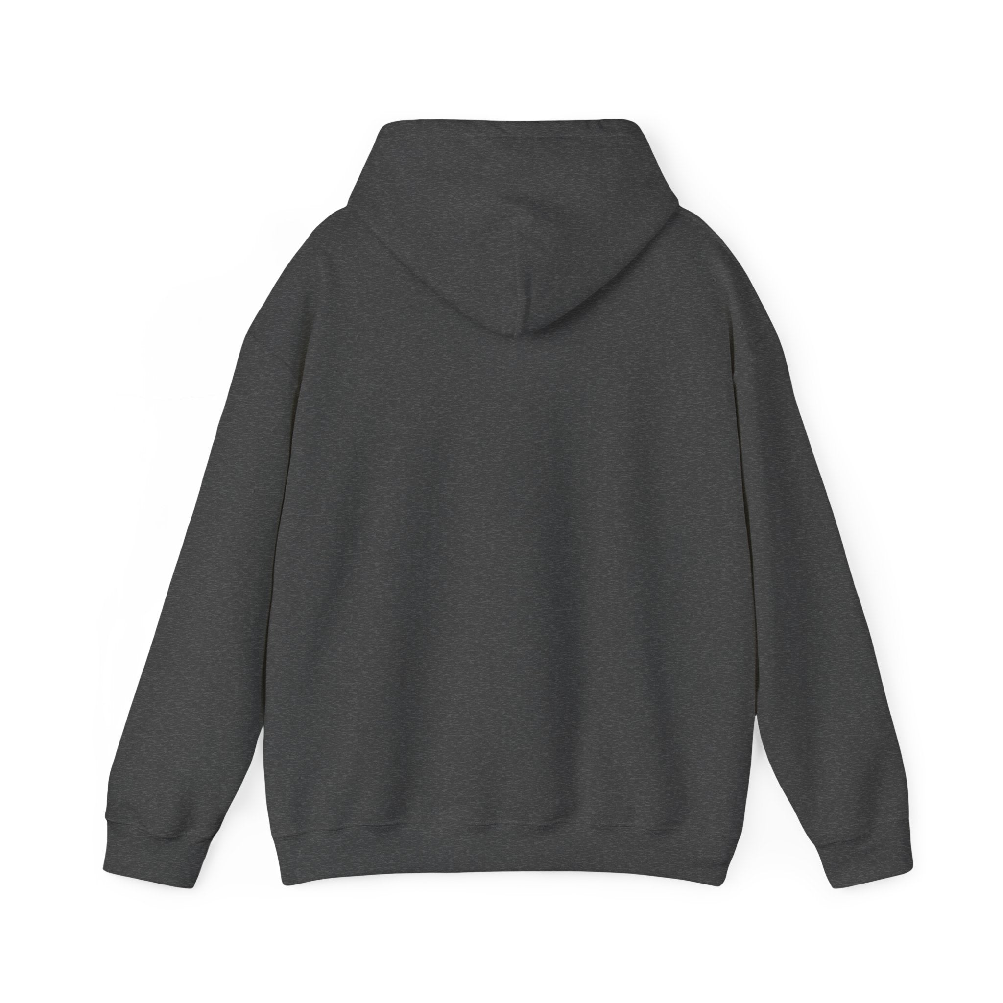 Hot Boyz Hoodie