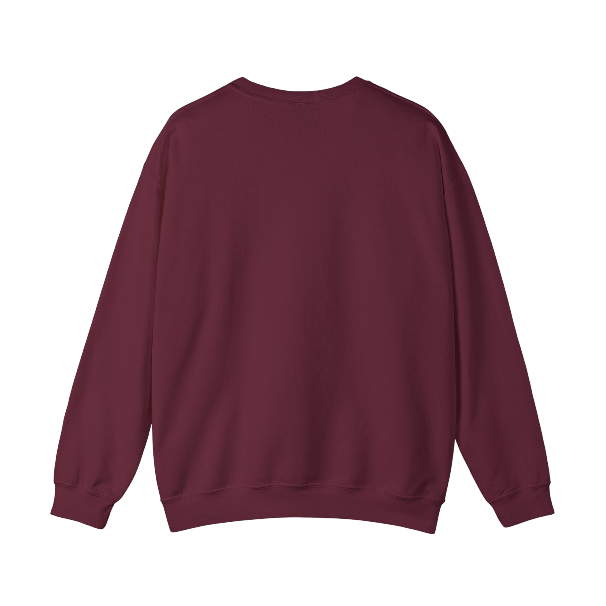 State Facts Sweatshirt