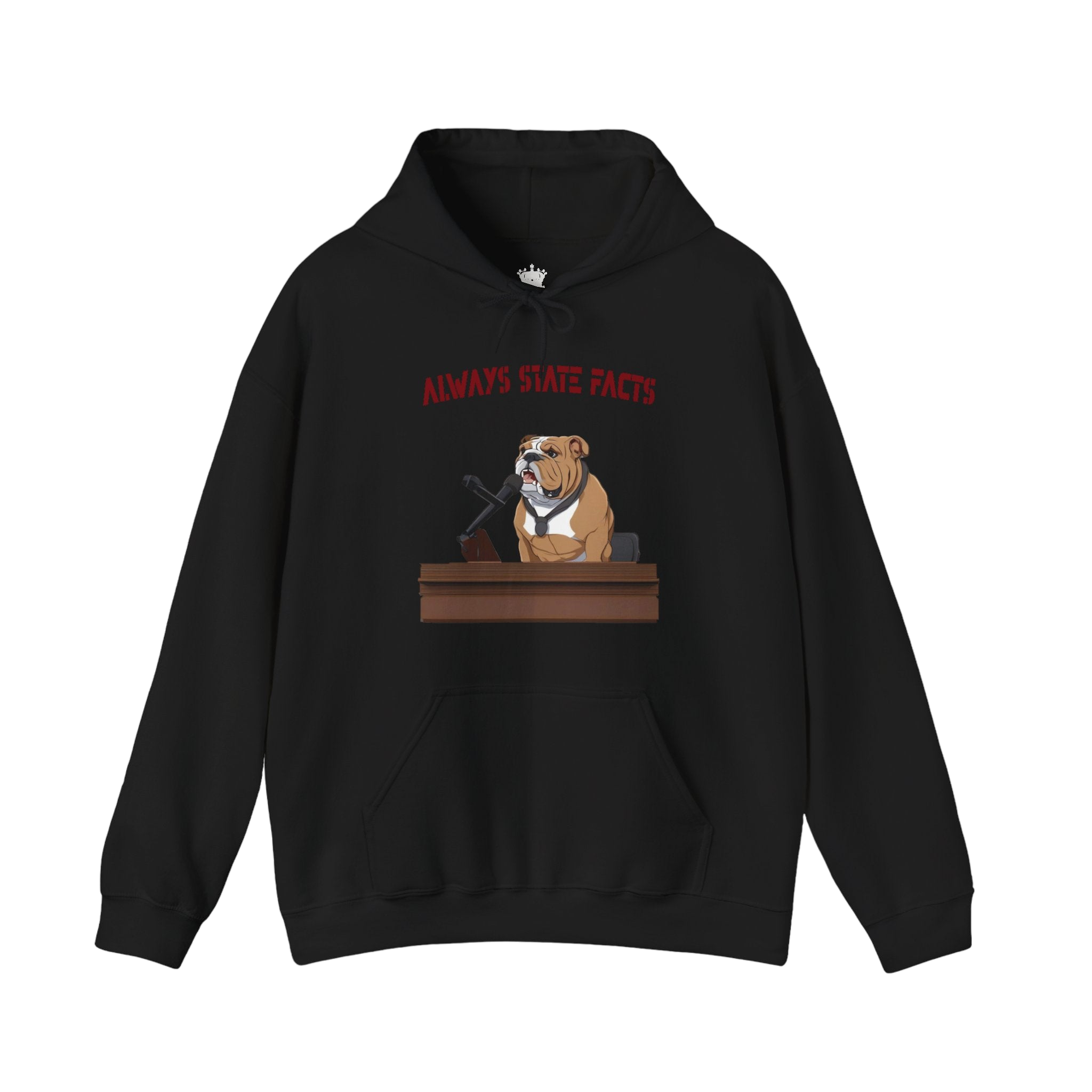 State Facts Hoodie