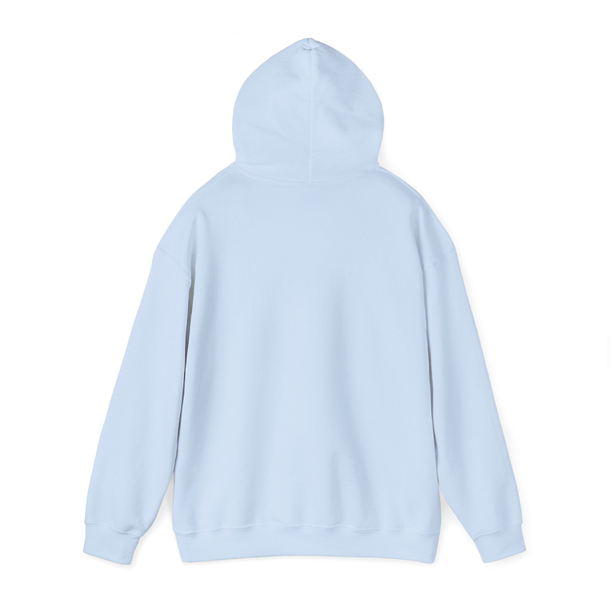 "Told Him No" Hoodie