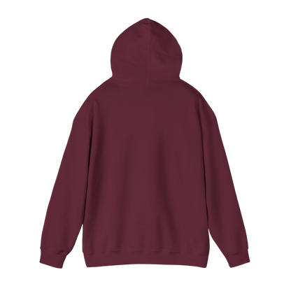 Time 2 Shine Hoodie