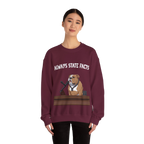 State Facts Sweatshirt