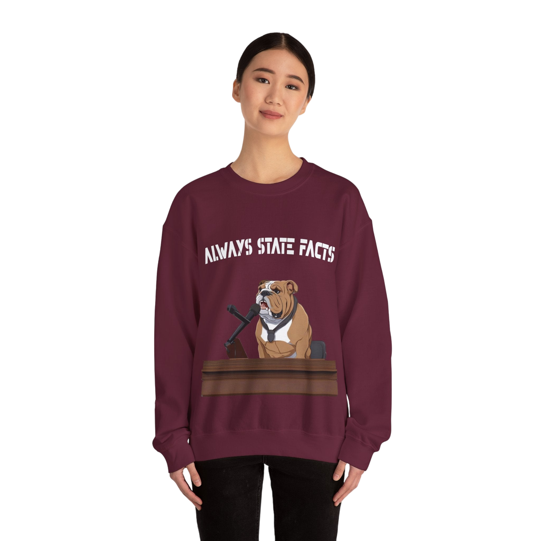 State Facts Sweatshirt