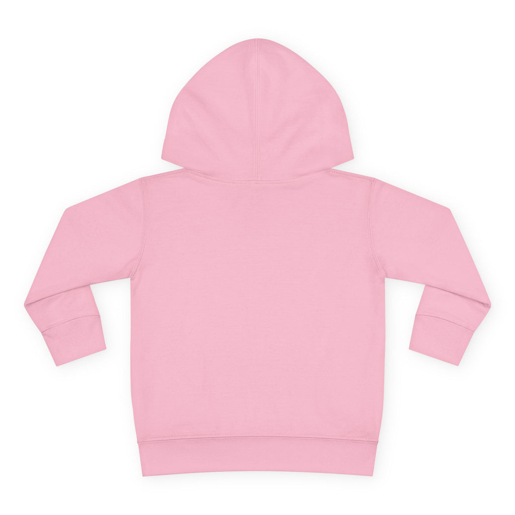 Pacifire Toddler Pullover Hoodie