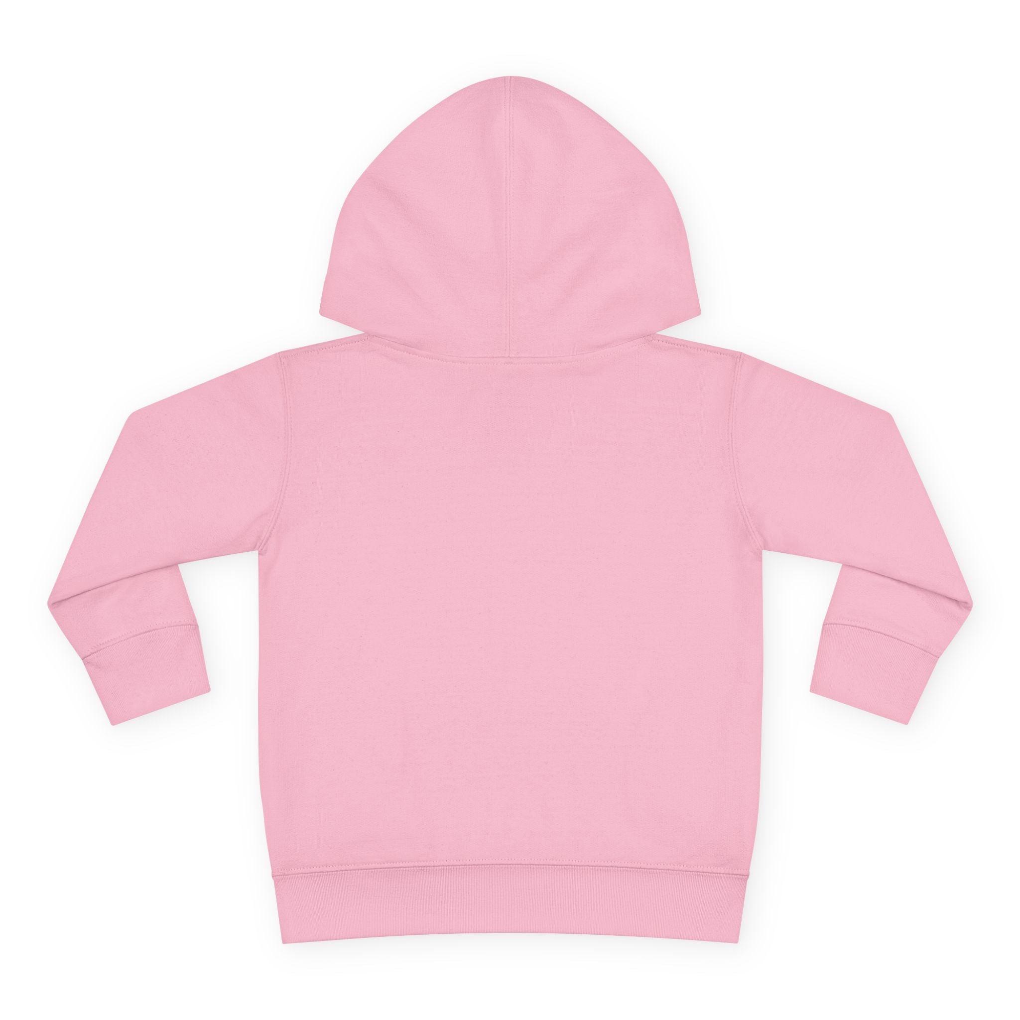 Pacifire Toddler Pullover Hoodie