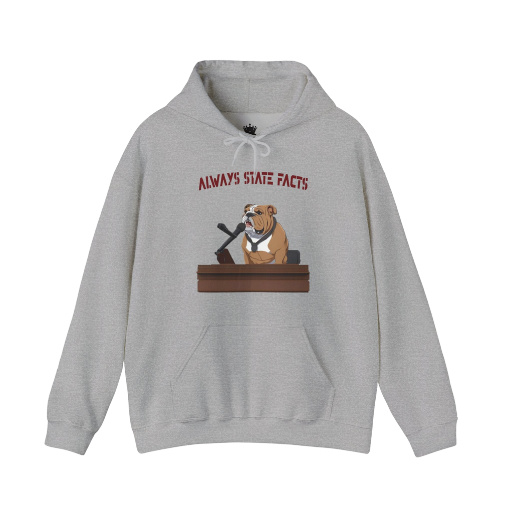 State Facts Hoodie