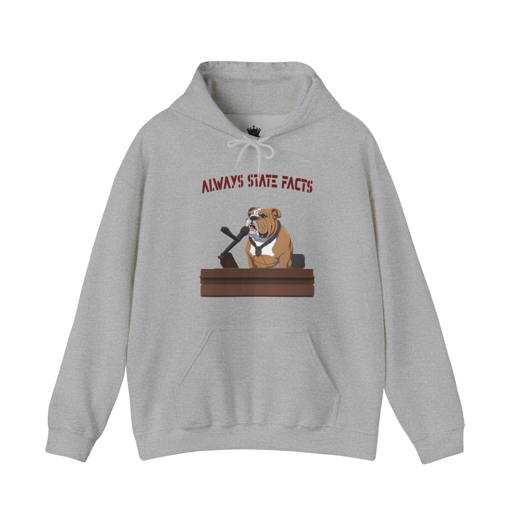 State Facts Hoodie