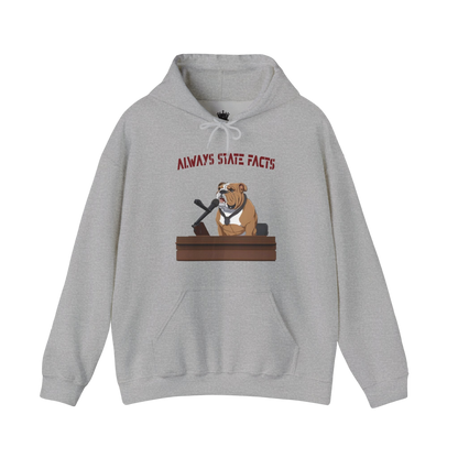 State Facts Hoodie
