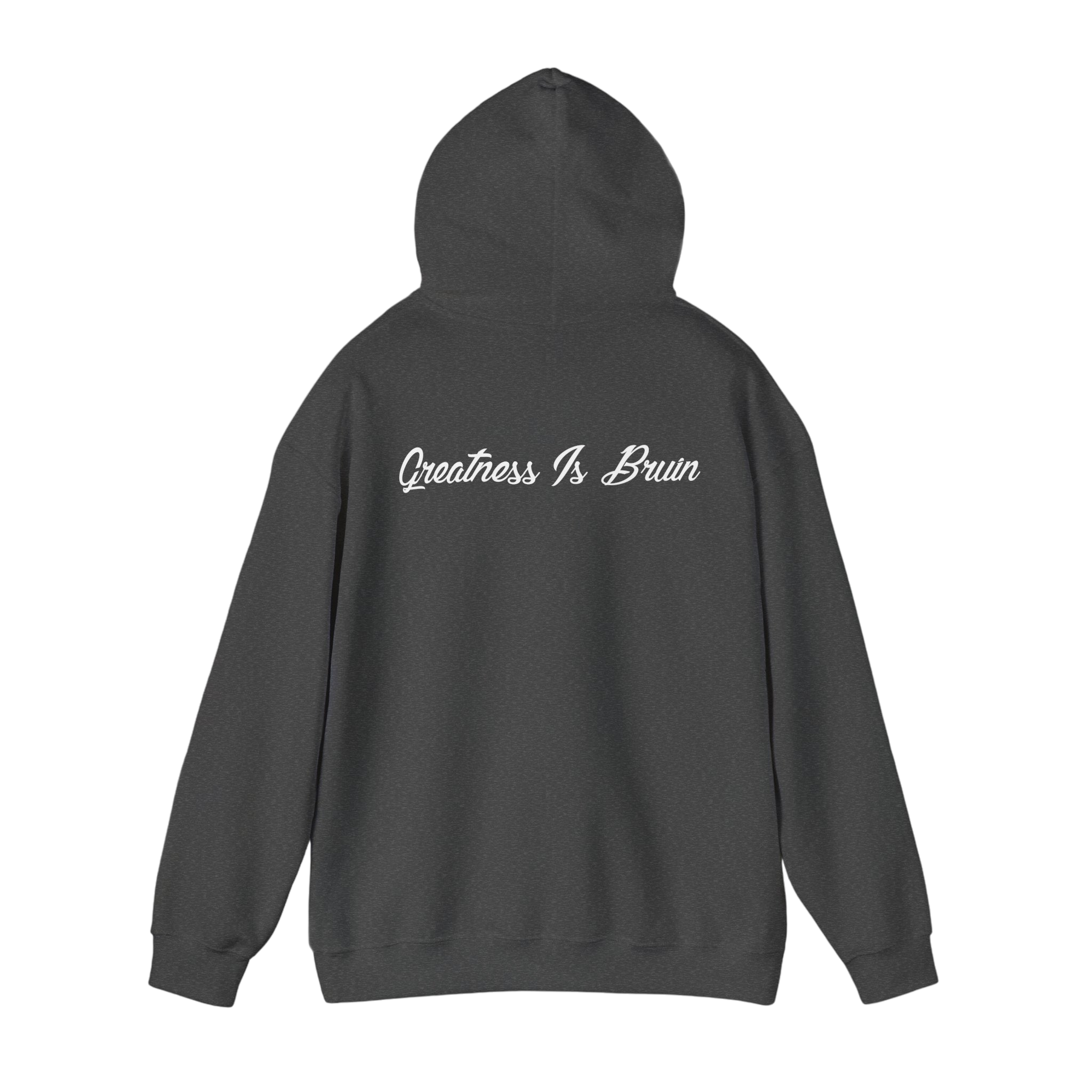 Bruin Hoodie