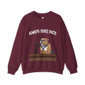 State Facts Sweatshirt
