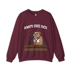 State Facts Sweatshirt