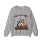 State Facts Sweatshirt