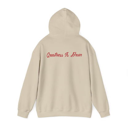 Bruin Hoodie