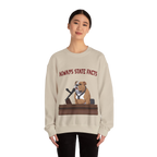 State Facts Sweatshirt