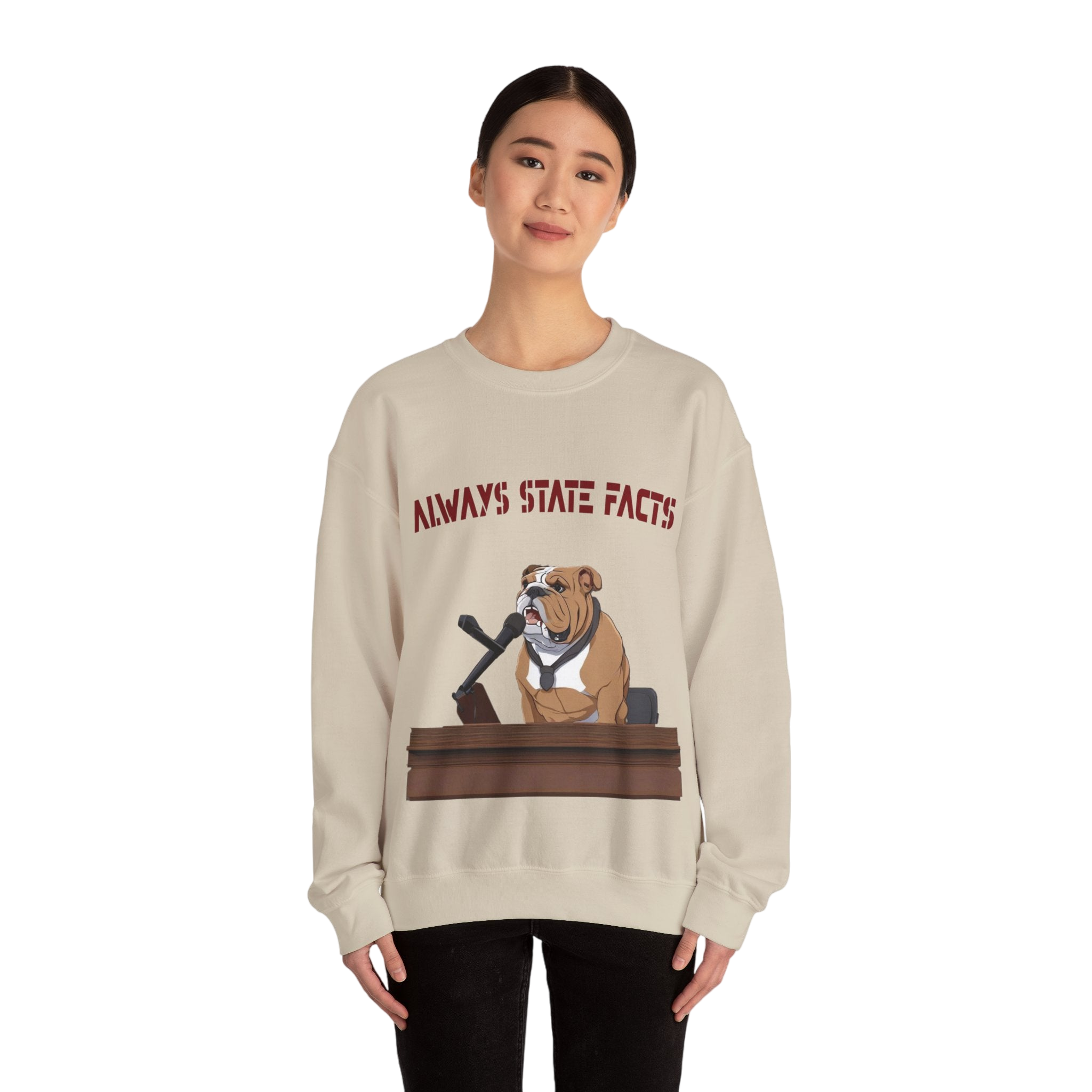State Facts Sweatshirt