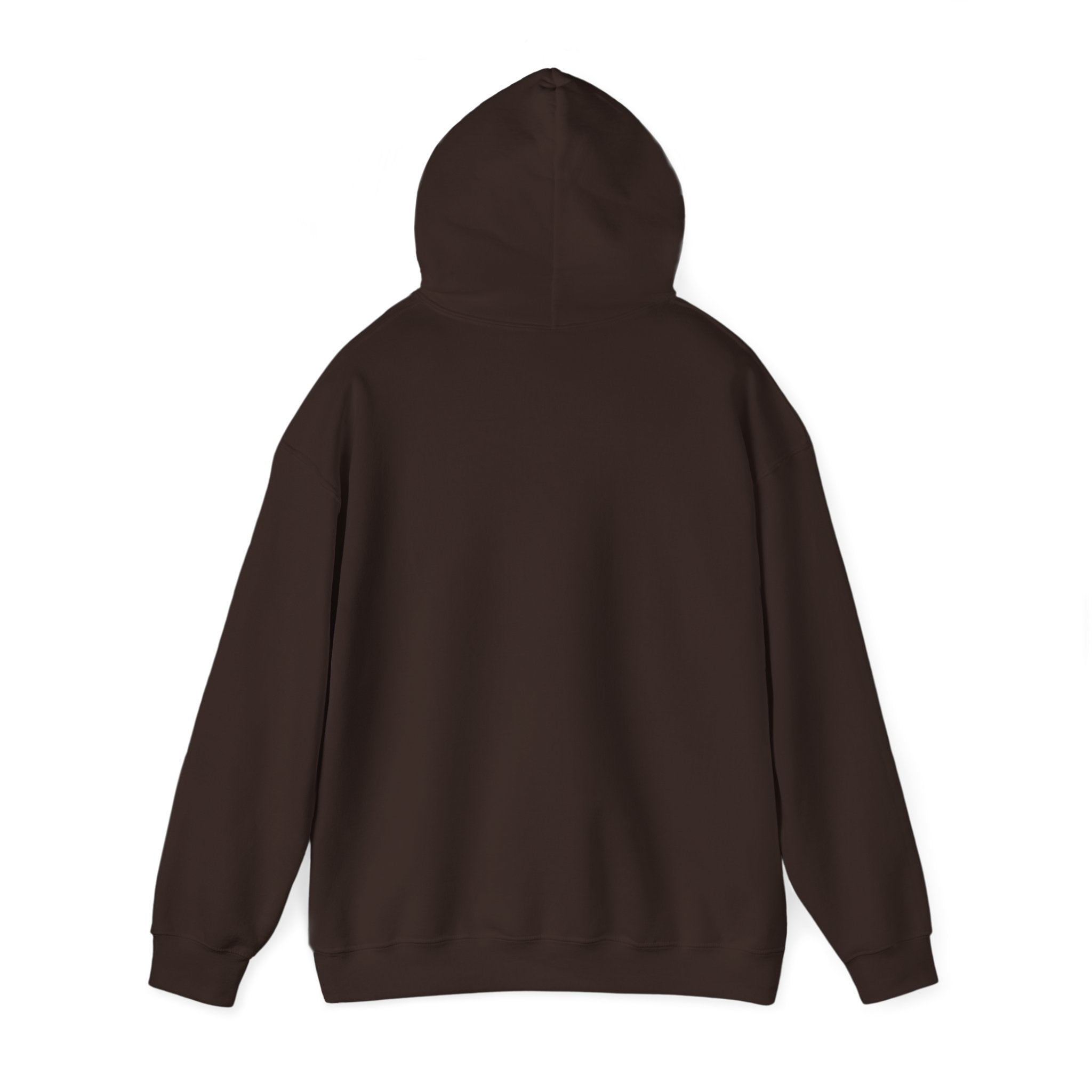 "Told Him No" Hoodie