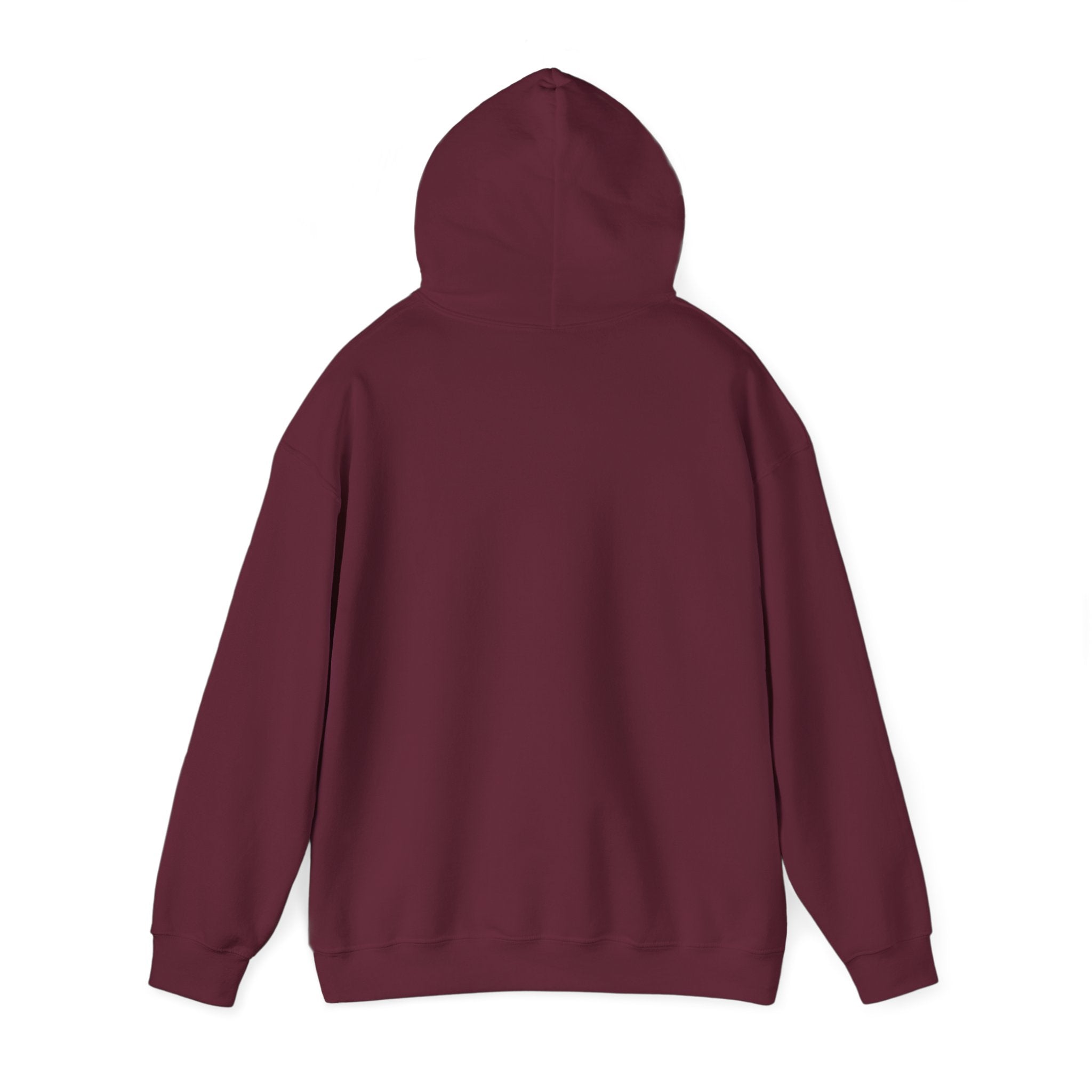 "Told Him No" Hoodie