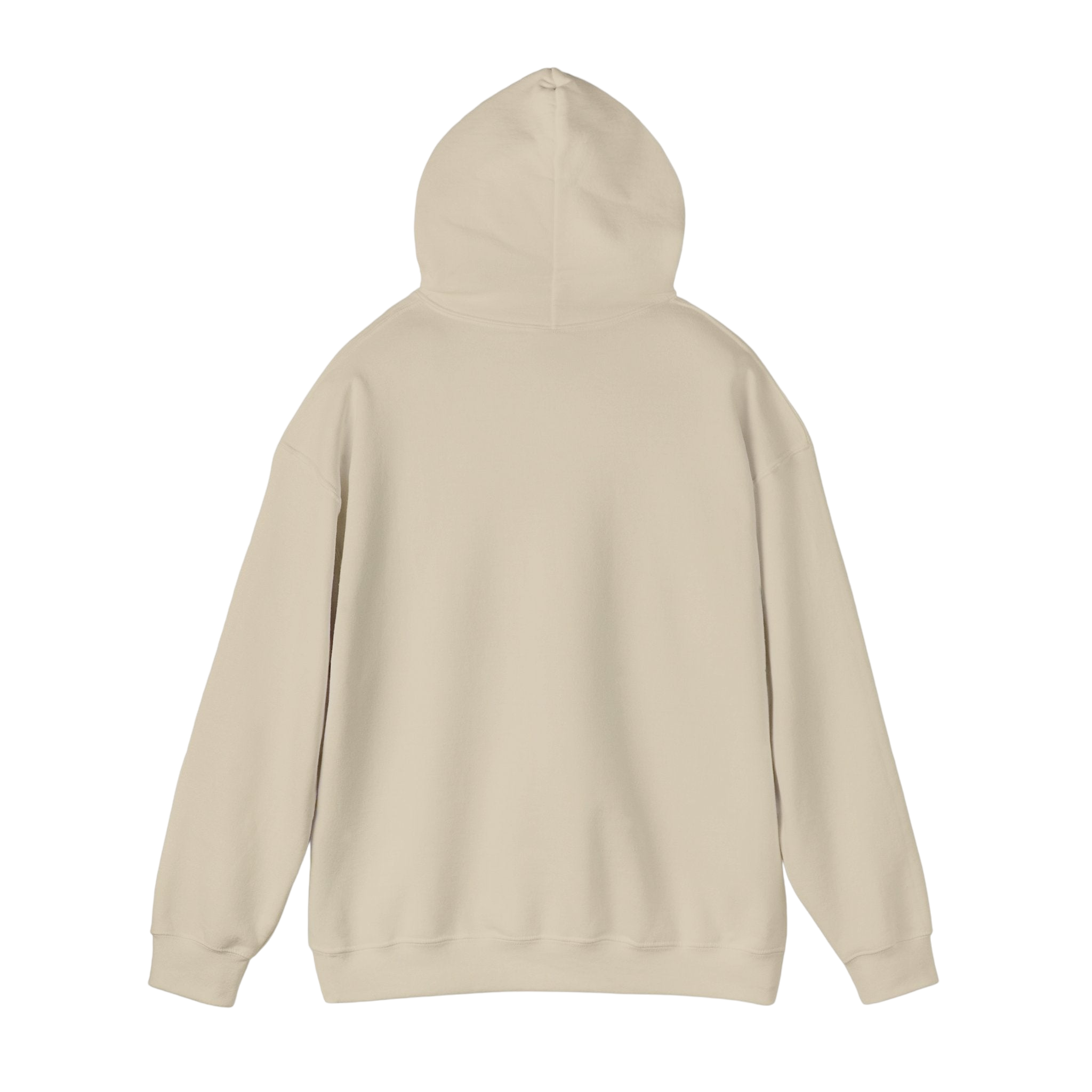 "Told Him No" Hoodie