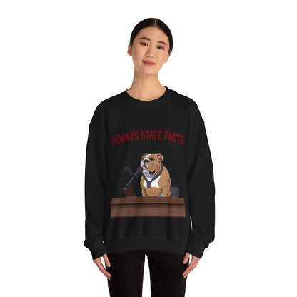 State Facts Sweatshirt