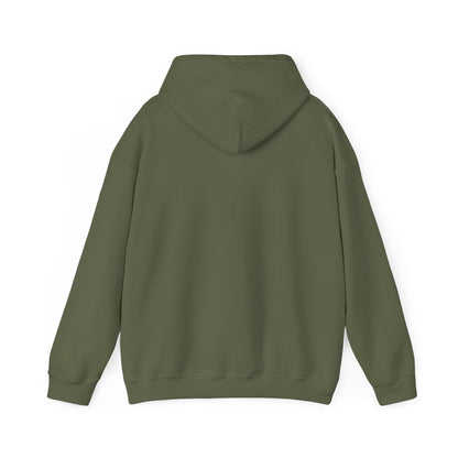 Time 2 Shine Hoodie