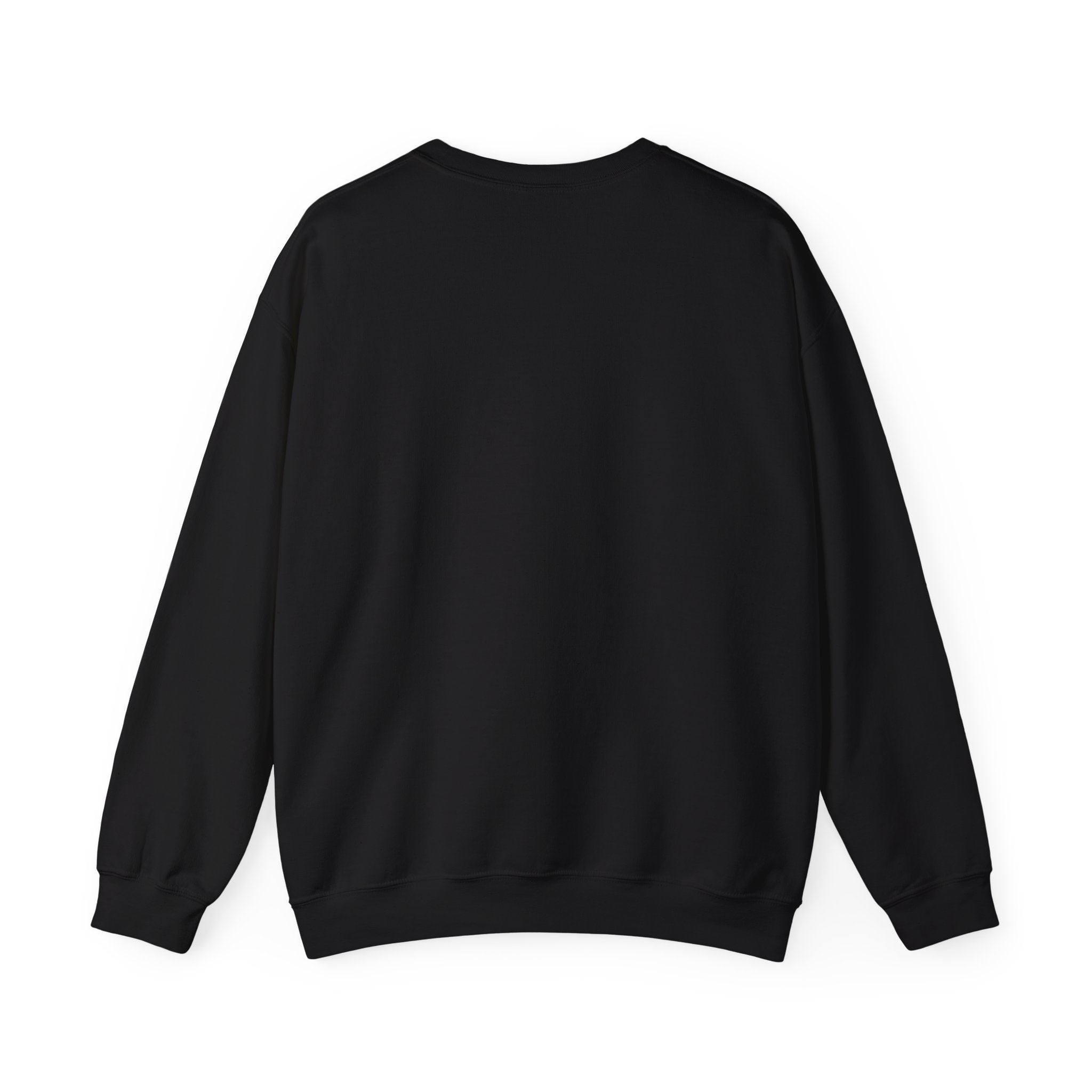 F Around Find Out Sweatshirt