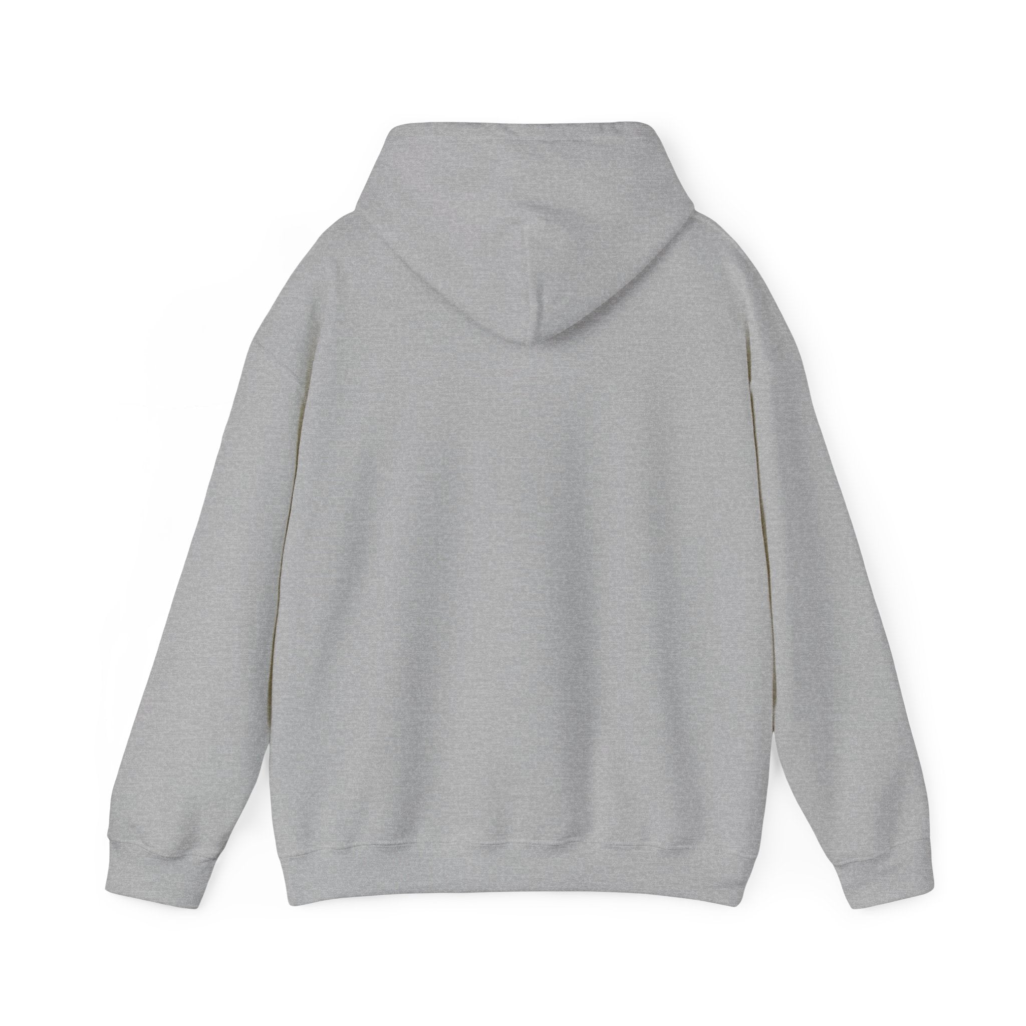 Iced Hoodie