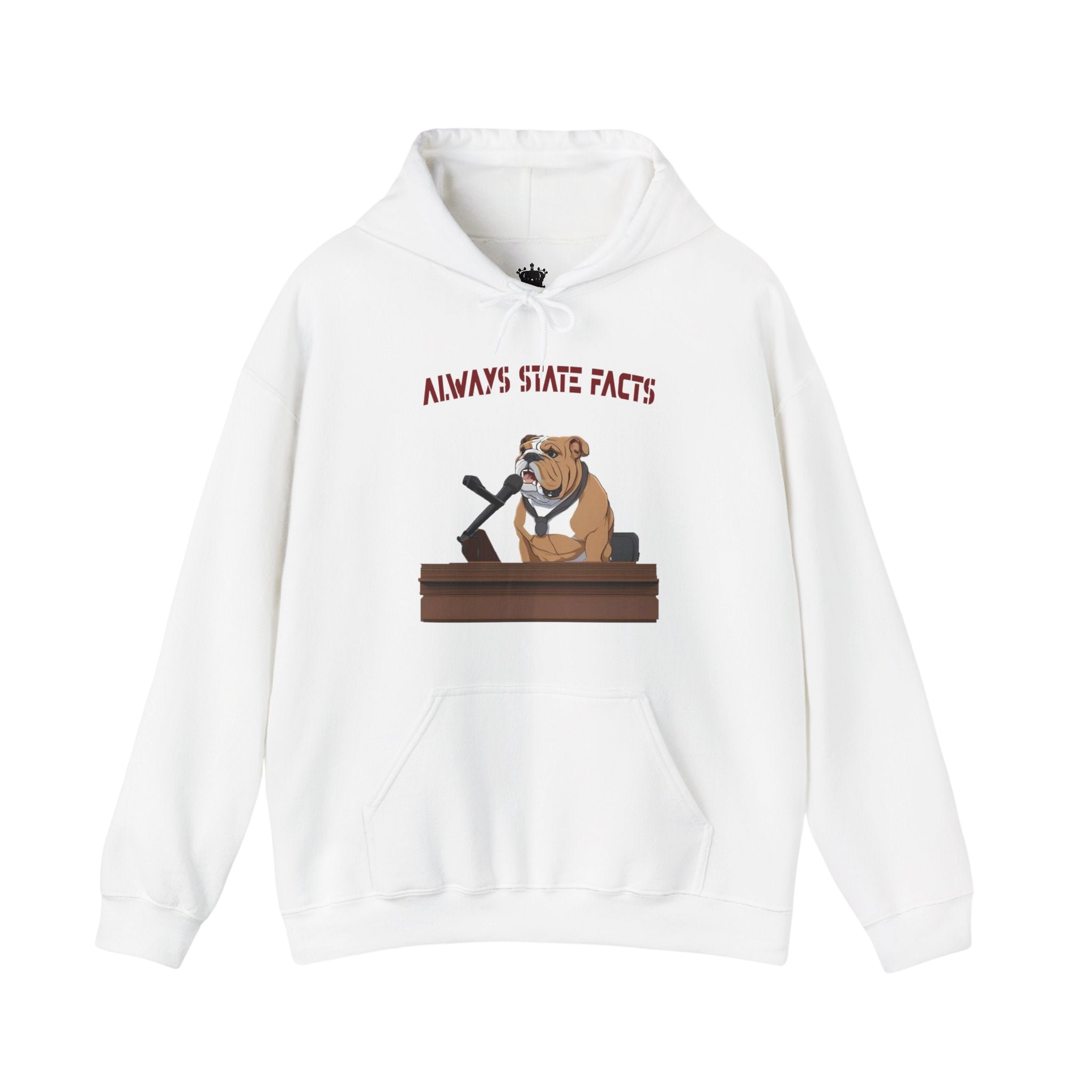 State Facts Hoodie