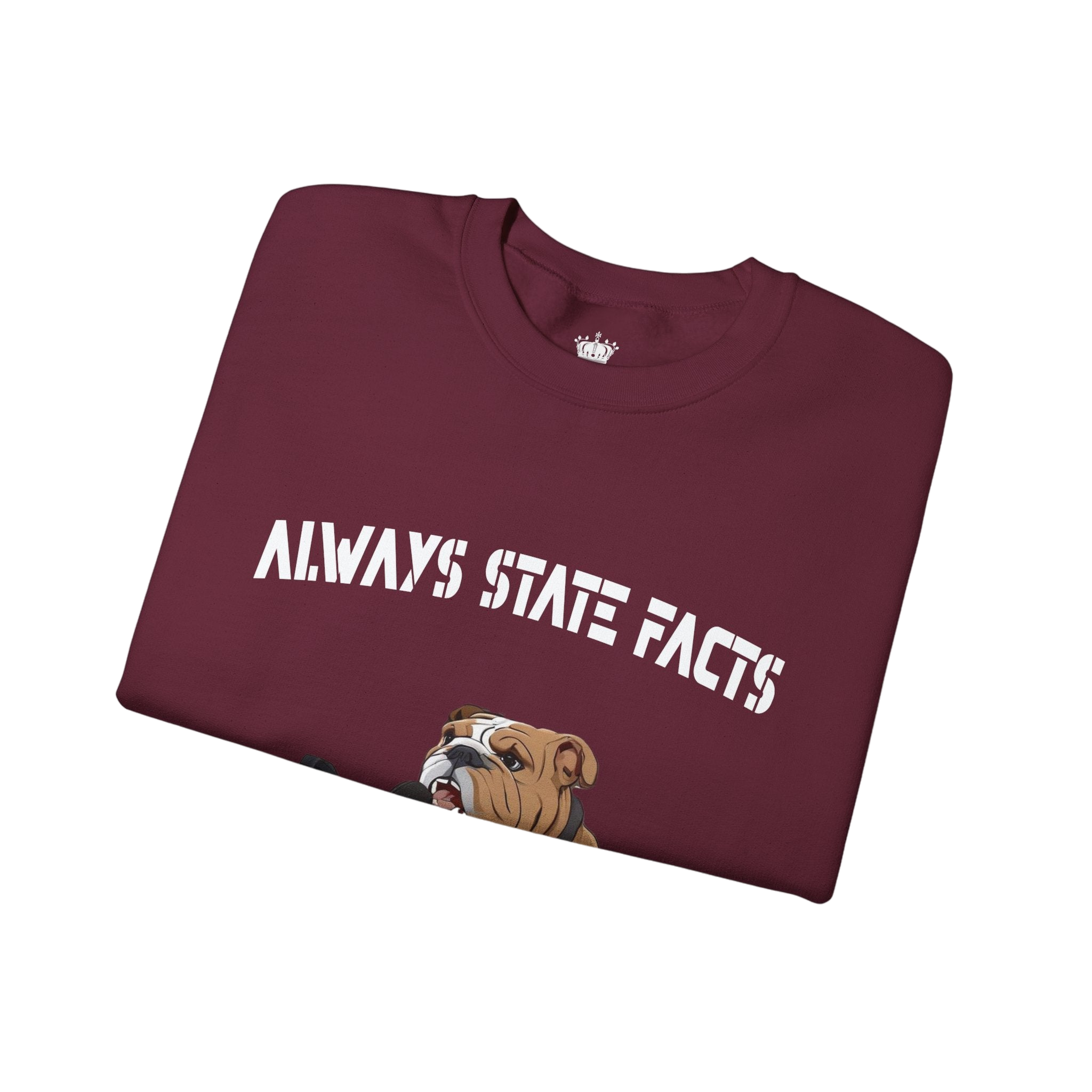 State Facts Sweatshirt