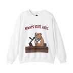 State Facts Sweatshirt