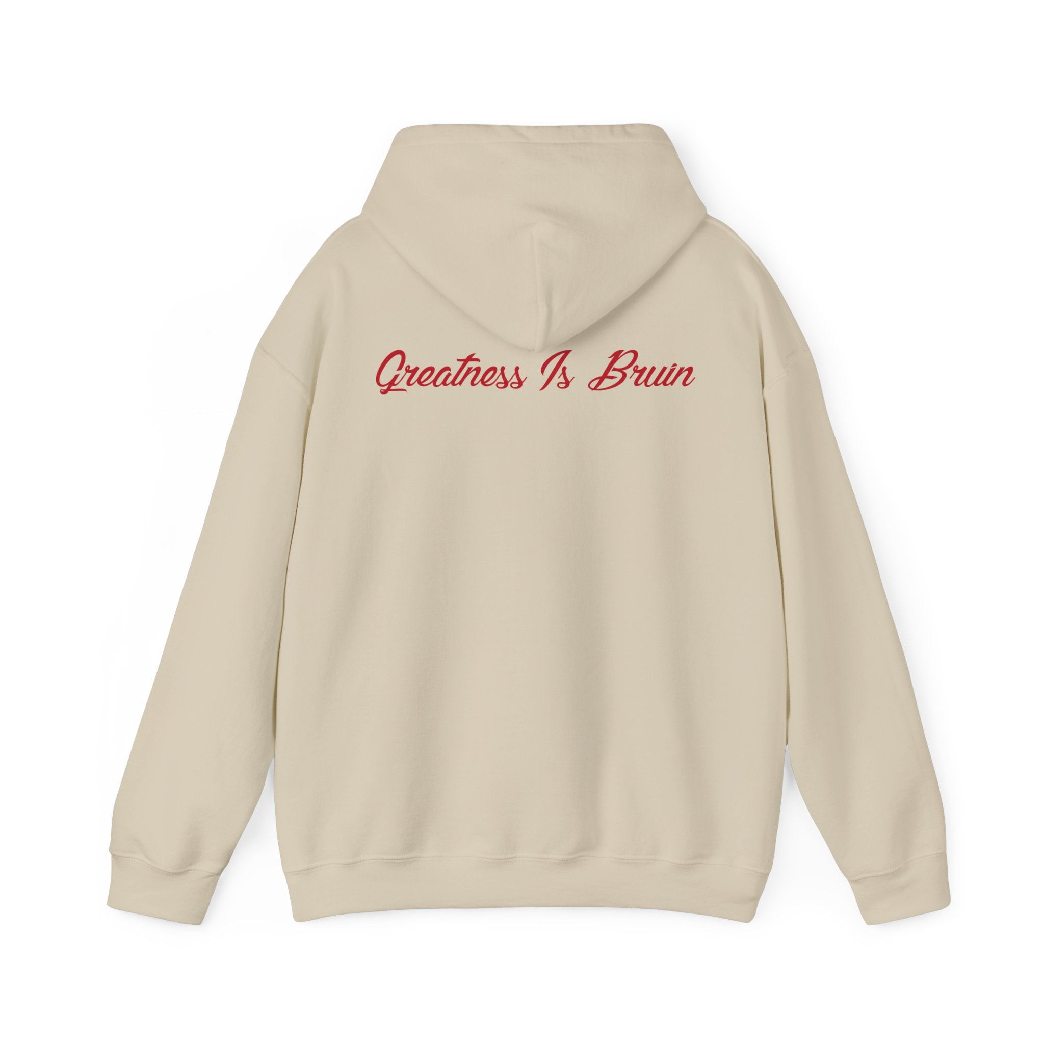 Bruin Hoodie