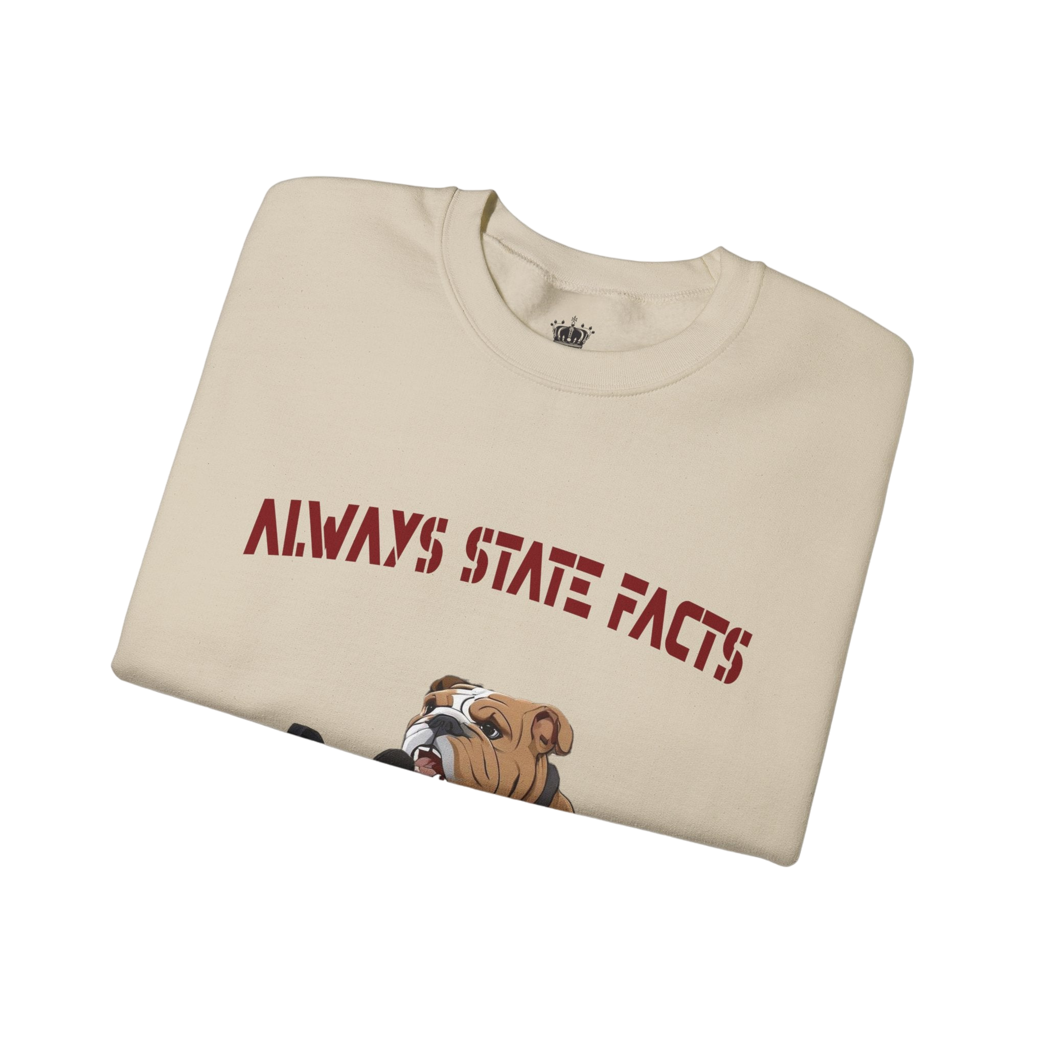 State Facts Sweatshirt