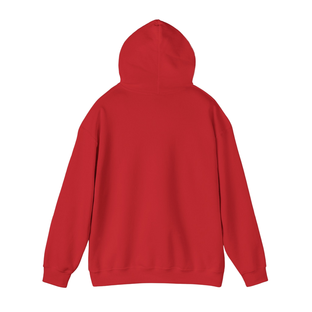 About the Bucs Hoodie