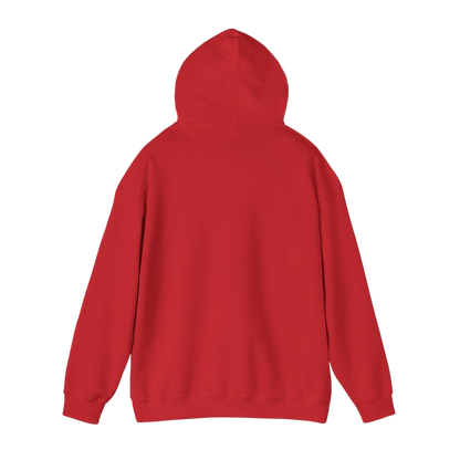 About the Bucs Hoodie